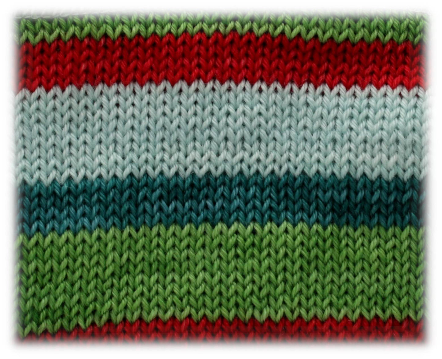 Mesodinium Chamaeleon