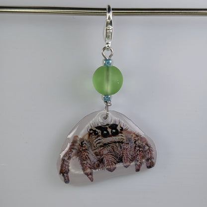 Jumping Spider Earrings & Stitch Markers