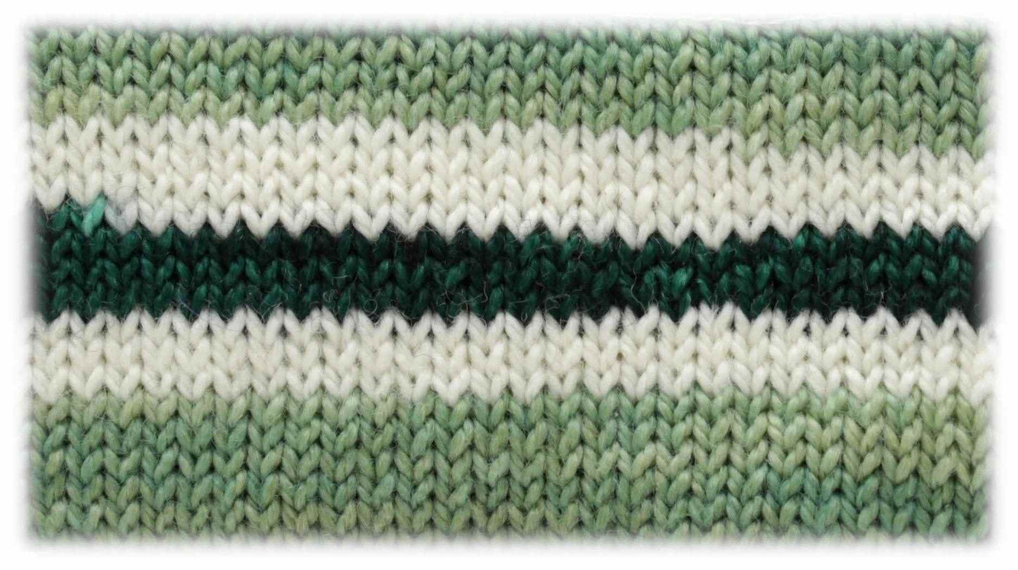 Equisetum