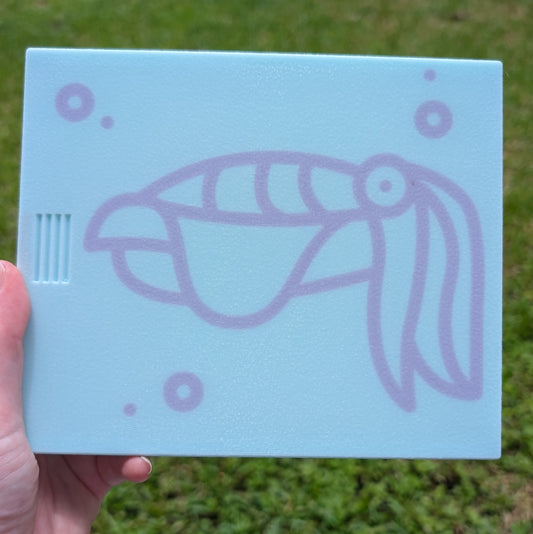 3D printed Notions Box--Cuttlefish