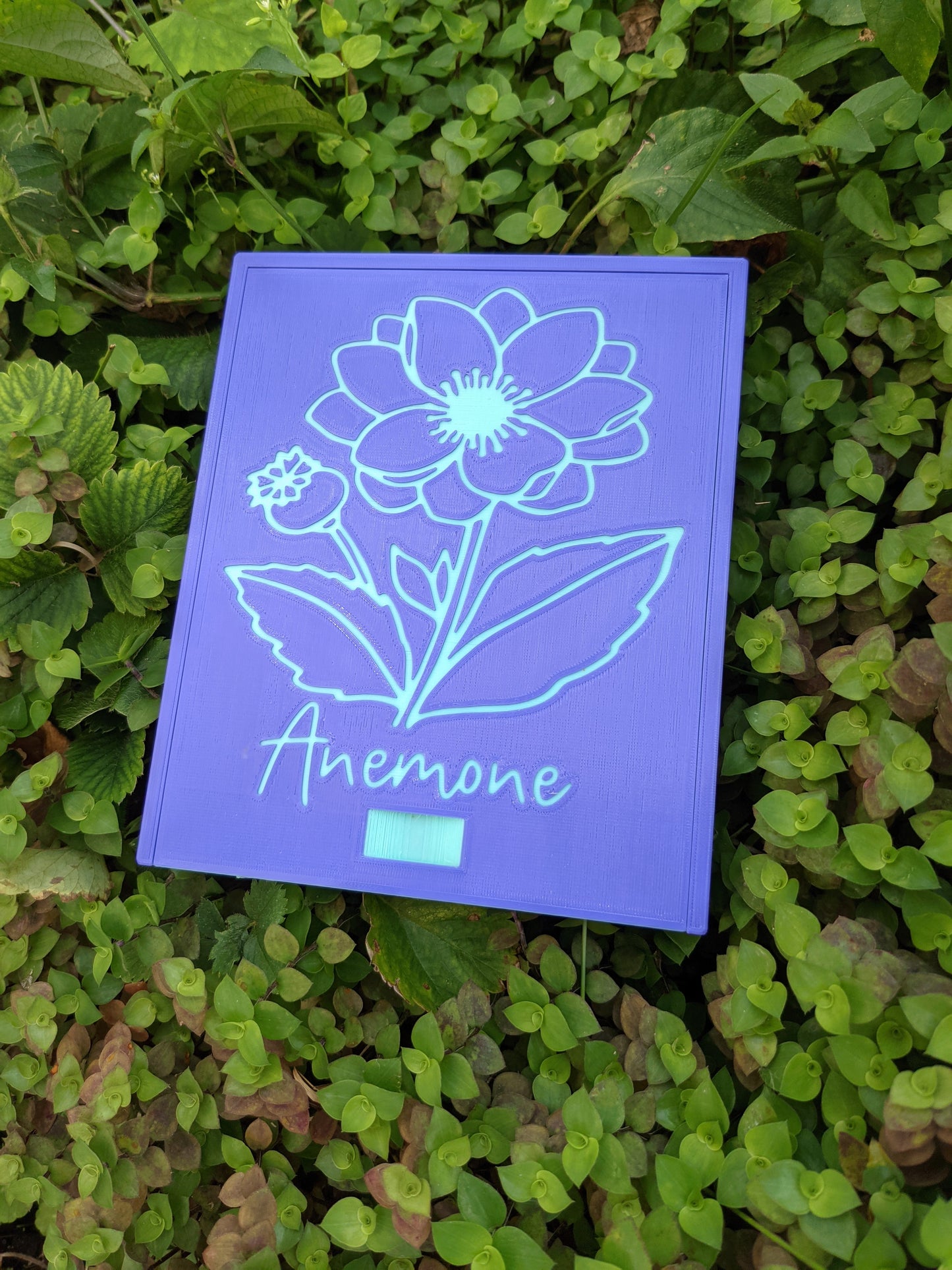 3D printed Notions Box--Anemone
