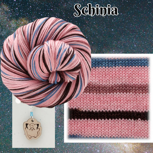 Schinia